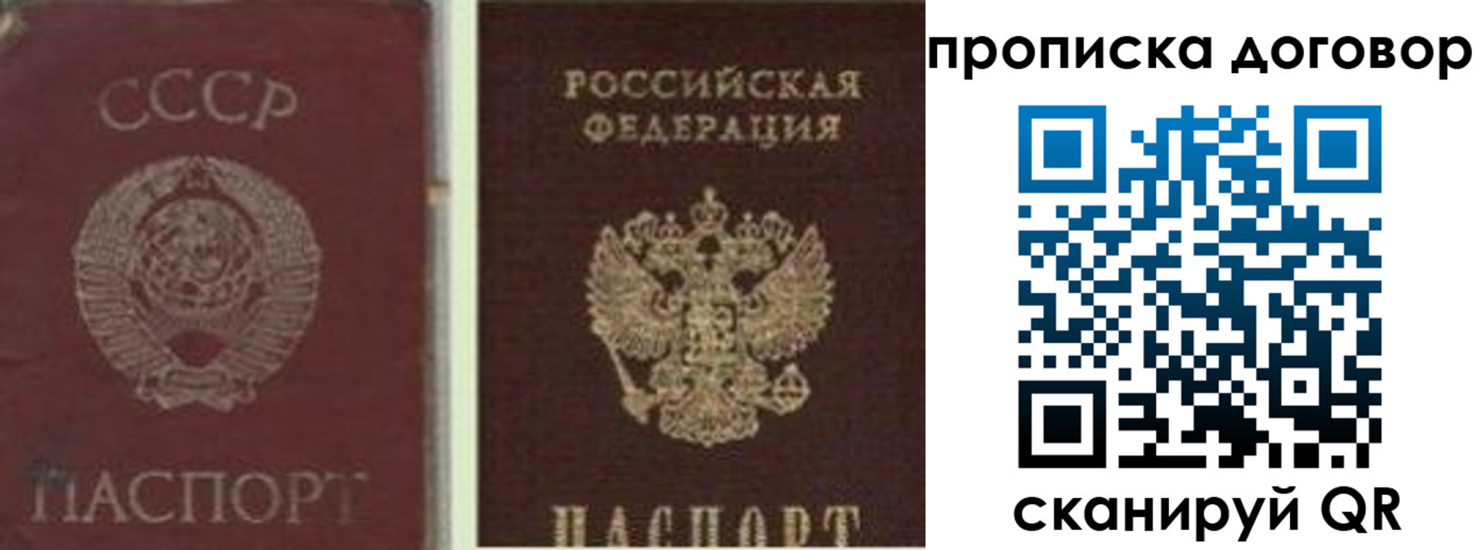 прописка гарантия в Лосино-Петровском